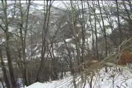 سكس مصري كبارالسن مع حيوان
