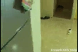 نياكه امريكانى الجنس