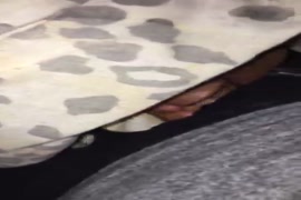 سكس اشهر واكبر مواخرات نساء سواد في العالم مدهون