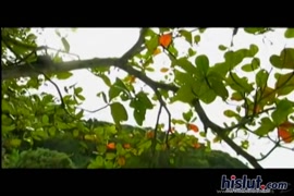 صورسكس كيتاموب سخونة